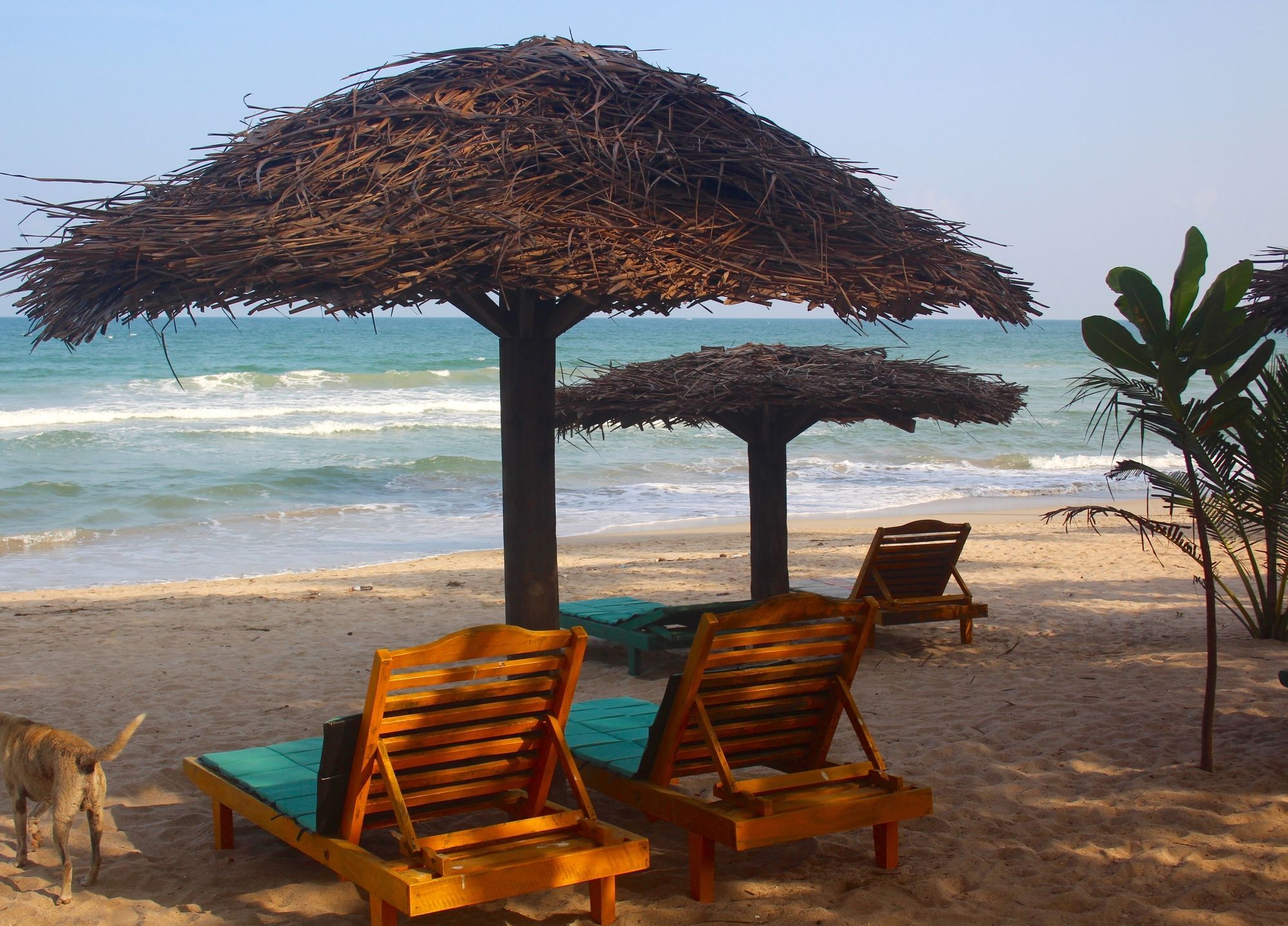 Golden Beach Cottages Тринкомали Экстерьер фото